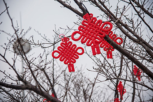 户外树枝上悬挂的红色中国结