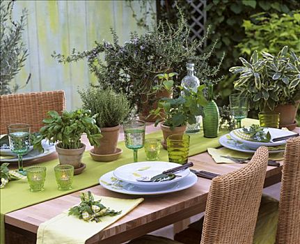 桌子,盆栽草本植物,桌饰