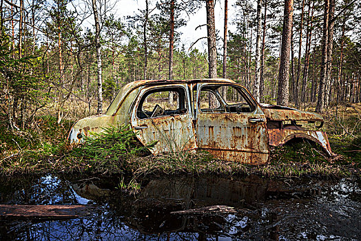 老爷车,残骸,树林,荒野,汽车,墓地,瑞典,欧洲