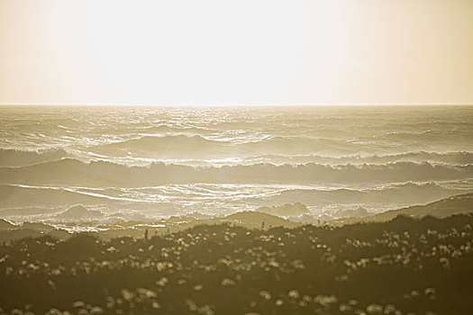 风景,海洋,波浪