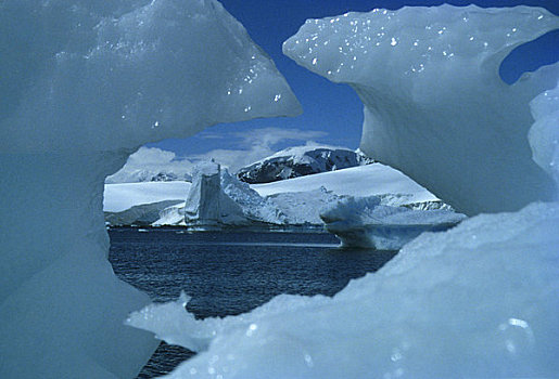 南极,天堂湾,南极半岛