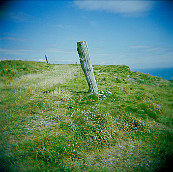 风雨侵蚀,木质,柱子,悬崖,边缘,草地,花,蓝色,天空,晕影效果,怀特岛