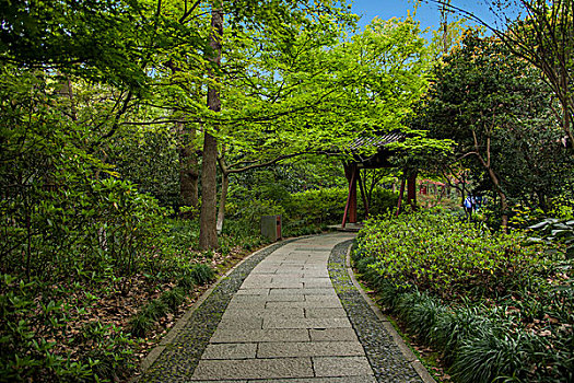 杭州永福寺