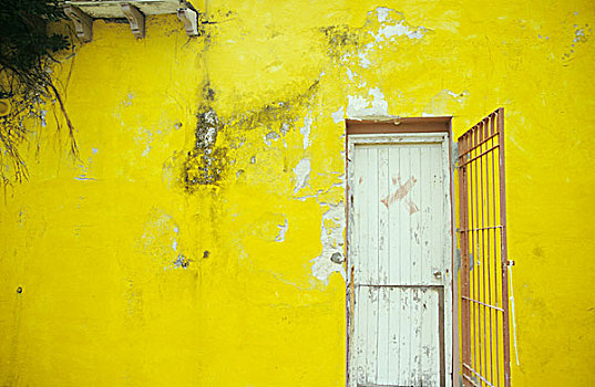 黄色,墙