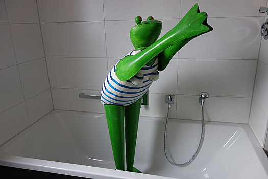 青蛙,现代,浴室