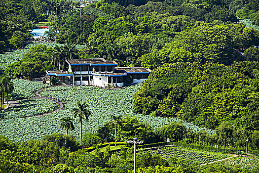 深圳洪湖公园