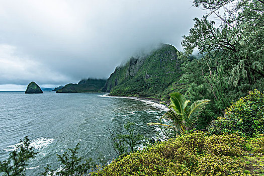 美国,夏威夷,莫洛凯岛,雾状,海岸,大幅,尺寸
