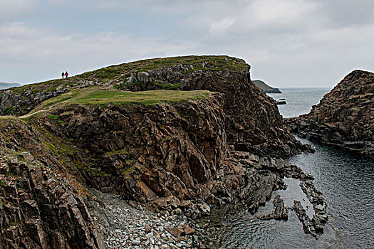 岩石构造,海岸,北方,鸟岛,小,卡塔琳娜,纽芬兰,拉布拉多犬,加拿大