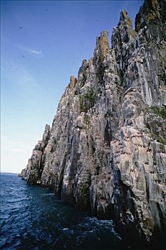 白云石,悬崖,巨大,海雀,生物群,两个,东方,斯匹次卑尔根岛,岛屿,海峡,斯瓦尔巴群岛,挪威,北极