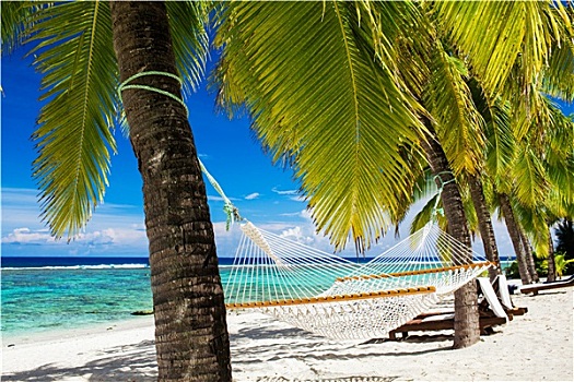 吊床,棕榈树,热带沙滩