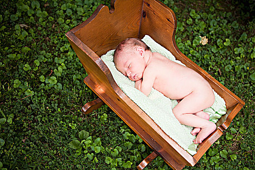 裸露,婴儿,睡觉,木质,叶子,纳什维尔,田纳西,美国