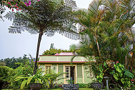 传统,绿色,木屋,棕榈树,留尼汪岛