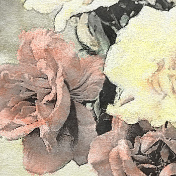 艺术,花,旧式,背景,白色,红玫瑰