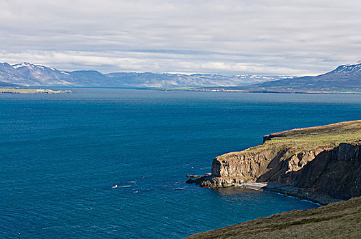 岩石构造,海岸,冰岛