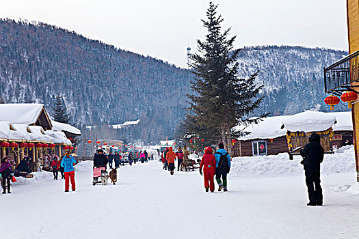 雪乡,双峰林场,村庄,风景,白天,黑龙江,牡丹江