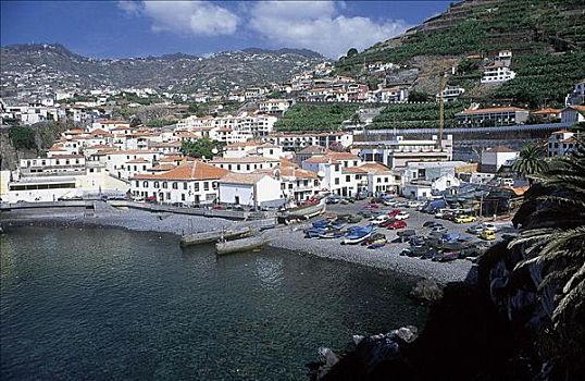 渔船,港口,马德拉岛,葡萄牙,欧洲