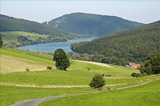 自然保护区,湖,北莱茵威斯特伐利亚,德国