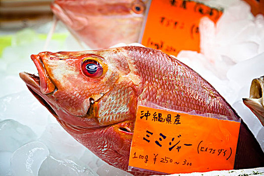 鱼肉,公用,市场,那霸,冲绳,日本