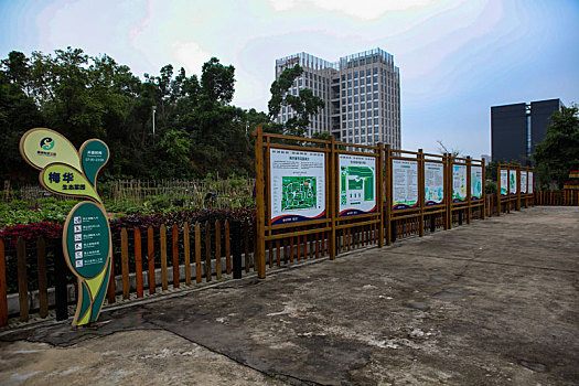 珠海,梅华城市花园,湿地公园,河道,水塘,植物,治理,树木,休闲,公园