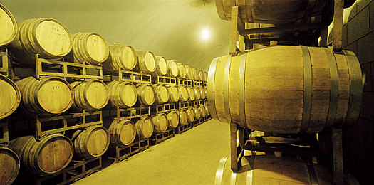 张裕葡萄酒厂图片