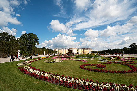 花坛,公园,美泉宫,维也纳,奥地利,欧洲