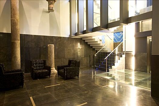 大厅,楼梯,酒店,设计师,萨拉戈萨,卡斯提尔,阿拉贡,西班牙,欧洲