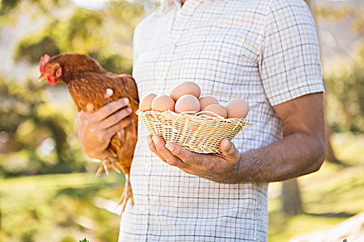 高兴,农民,拿着,鸡,蛋,晴天
