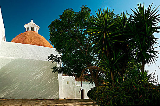 树,靠近,教堂,伊比沙岛,巴利阿里群岛,西班牙