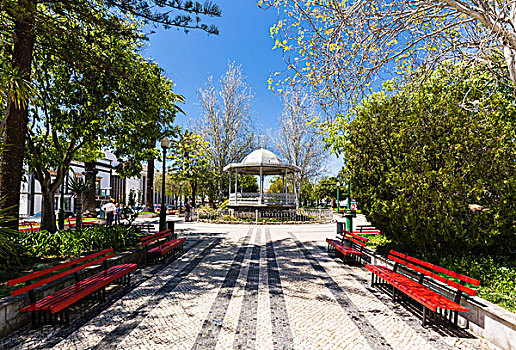 公园,棕榈树,长椅,塔维拉,葡萄牙