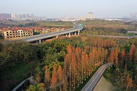 重庆九曲河湿地公园