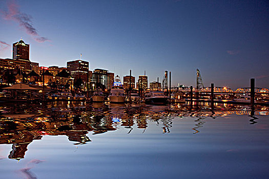 风景,市区,波特兰,河,水岸,俄勒冈,美国