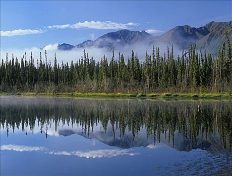 湖,反射,山脉,树林,克卢恩国家公园,育空,加拿大