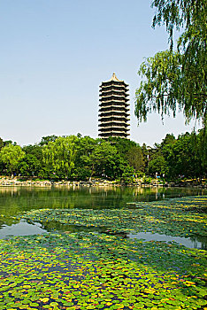 北京大学一塔湖图