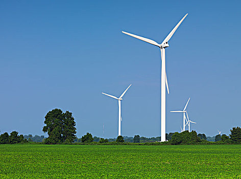 风轮机,发电机,绿色,土地,南方,安大略省,加拿大