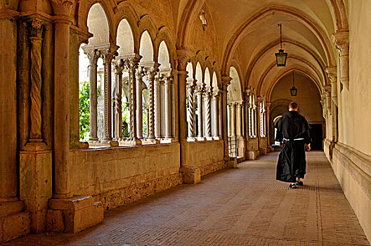 僧侣,走,回廊,一对,柱子,哥特式,大教堂,教堂,靠近,拉齐奥,意大利,欧洲
