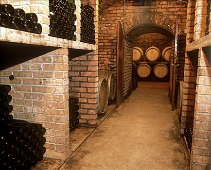 地窖,葡萄酒,瓦绍,奥地利