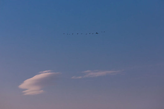 沙湖农场,沙湖景区