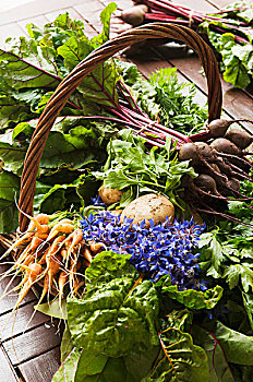 新鲜,蔬菜,花,藤条,浅底篮,木地板