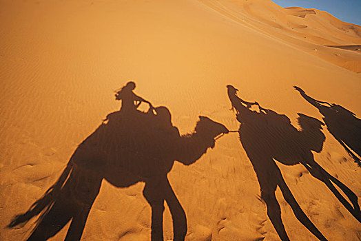 影子,人,骑,骆驼,沙,沙漠,撒哈拉沙漠,摩洛哥