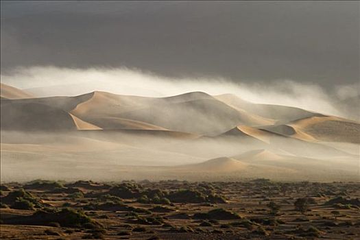 沿岸,雾,沙丘,索苏维来地区,纳米布沙漠,纳米比亚,非洲