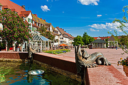 城镇,喷泉,市场,佛洛伊登希塔特,黑森林,巴登符腾堡,德国,欧洲