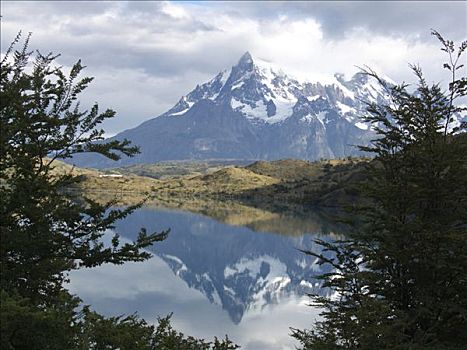 反射,山峦,水中,托雷德裴恩国家公园,巴塔哥尼亚,智利