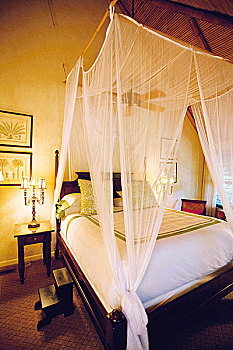卧室,四柱床,小,棕榈岛,胜地,水疗,佛罗里达,美国