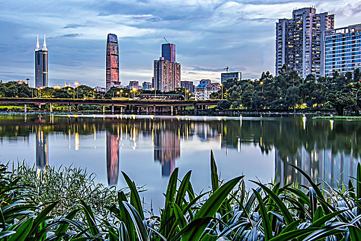 深圳洪湖公园城市夜景