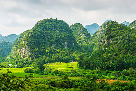 万峰林山村