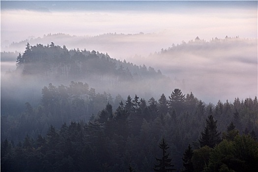 雾状,黎明,上方,波希米亚风格,瑞士