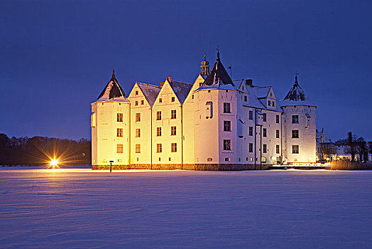城堡,冬天,石勒苏益格,黑白花牛,德国北部,德国