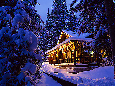 小屋,冬天,班芙国家公园,艾伯塔省,加拿大
