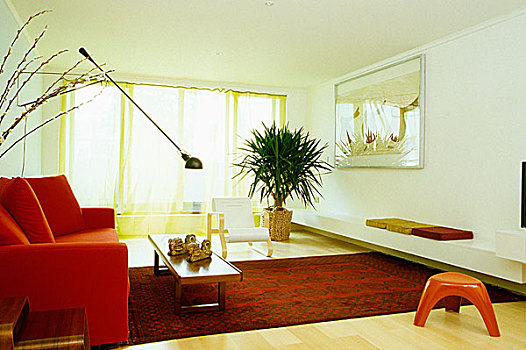 起居室,红色,地毯,沙发,灯,上方,茶几