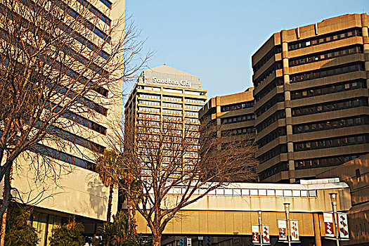 建筑,市区,约翰内斯堡,南非